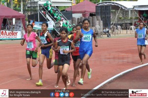 12087891_10154304808584251_3954823892899369756_o